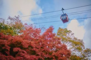 神戸布引ハーブ園・ロープウェイの紅葉写真２