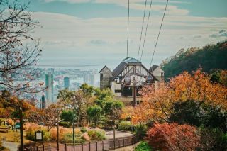神戸布引ハーブ園・ロープウェイの紅葉の写真４