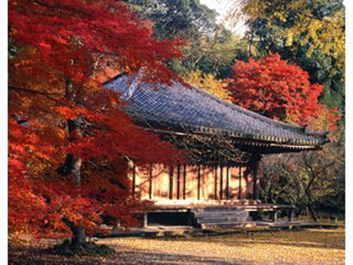 富貴寺の紅葉写真１