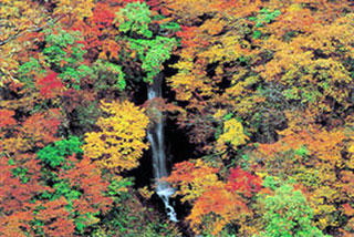 秋山郷の紅葉写真１