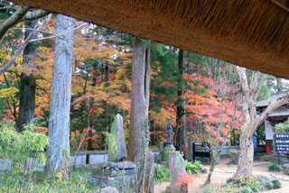 大雄寺の紅葉写真１