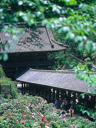 長谷寺（奈良）の写真１