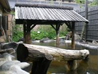 縄文天然温泉 志楽の湯の写真