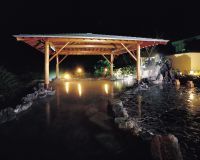 三谷温泉ひがきホテル　曙光の湯の写真