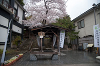 Kaminoyama Onsen