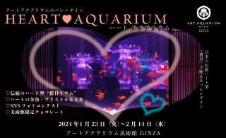 Heart Aquarium