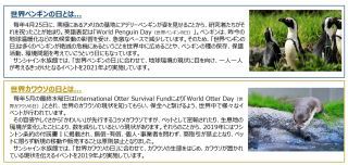 世界ペンギンの日・世界カワウソの日について