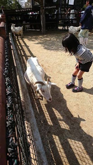 「きゃな」さんからの投稿写真＠熊本市動植物園