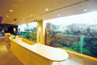 宍道湖自然館ゴビウスの写真
