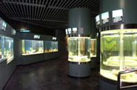 新さっぽろサンピアザ水族館