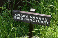 大阪南港野鳥園の写真