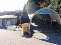 Akuarium Shinagawa