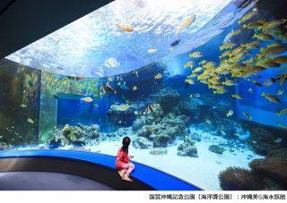 沖縄美ら海水族館の写真３