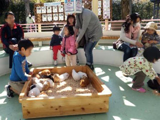 江戸川区自然動物園の写真３