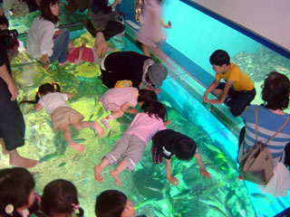 越前松島水族館写真２