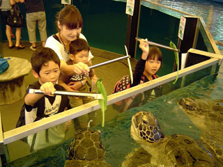 越前松島水族館の写真３
