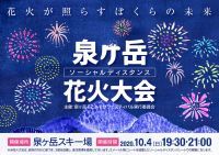 宮城県仙台市で「ソーシャルディスタンス花火大会」の開催決定！！