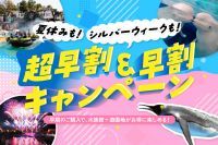 【横浜・八景島】花火とイルカの幻想的な夜を！シーパラダイスの夏をお得に満喫できる「早割チケット」販売スタート