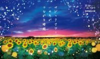 ひまわり2万5千本×マジックアワーの絶景！葛西臨海公園「花と光のムーブメント」が7月31日(金)より開幕