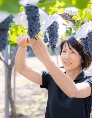 フジッコワイナリー(株)　ワイン事業課　チーフワインメーカー　鷹野ひろ子氏