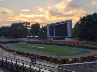 パドッグなど、施設が見学できます