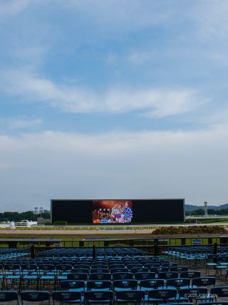 2025年の花火大会も青空で迎えることが出来ました
