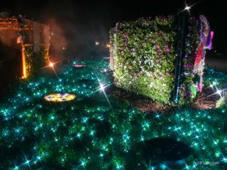 青い光が立体花壇を浮かび上がらせる