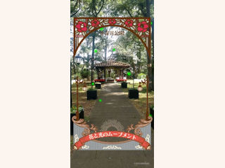 ARフォトフレームは緑の光にあふれる