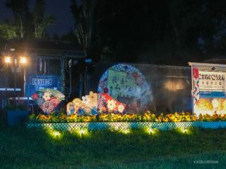 ひまわり畑の中を走るかのよう