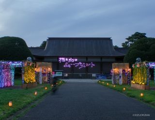 夕暮れ時は落ち着きのある演出