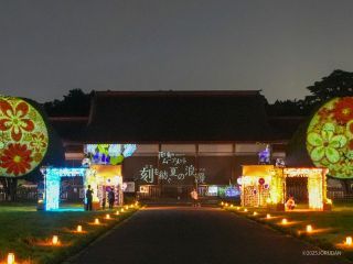 夜間は映える光を生かした特徴が