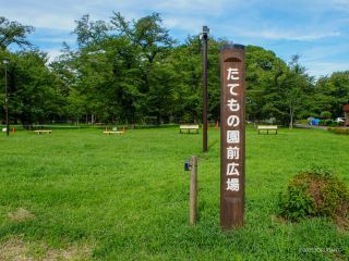 日中の緑広がる景色も素晴らしい