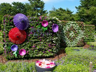 日中の立体花壇