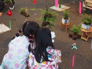伝統工芸の実演と販売(つりしのぶ)