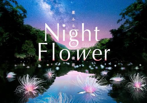 Night Flower ~星ふる島の一夜花~