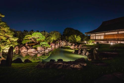 特別名勝：二の丸庭園ライトアップ