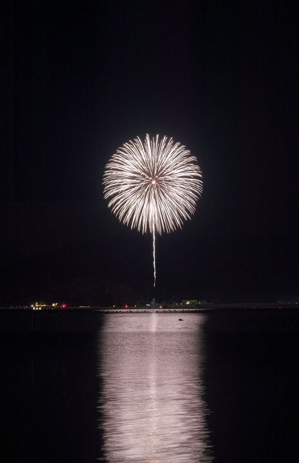 強力浄化】高品質！菊花水晶クラスター⭐花いっぱい⭐N109 透明度抜群