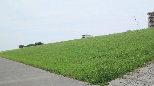 Bエリア（土手シート席）