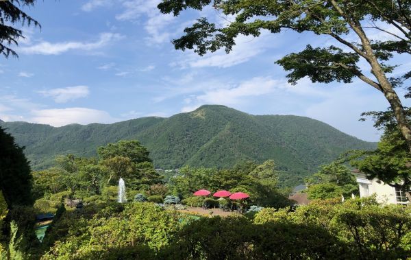 有料特別観覧席からの景観（イメージ）