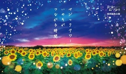 マジックアワー いのちがつながる時間