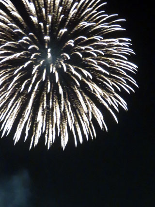 「Alt」さんからの投稿写真＠大田区平和都市宣言記念事業「花火の祭典」