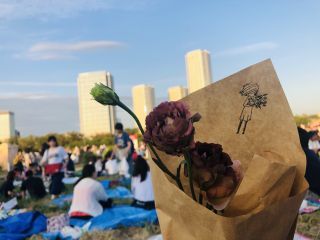 「お花と電車が好き」さんからの投稿写真＠第78回川崎市制記念多摩川花火大会