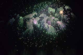 「ヨ」さんからの投稿写真＠北國花火2019金沢大会
