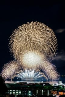 「Tomo」さんからの投稿写真＠第44回三原やっさ祭り「2019やっさ花火フェスタ」