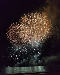 「パピヨンナツ夫」さんからの投稿写真＠逗子海岸花火大会