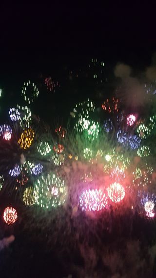 「しえ」さんからの投稿写真＠GATEWAY Festival 2019