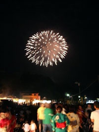 御田祭の里 花火大会の写真
