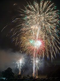 東京ドイツ村「サマーフェスタ2017」の写真