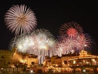 スターライトイリュージョンの写真