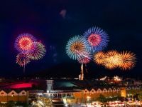 第20回記念かごしま錦江湾サマーナイト大花火大会の写真